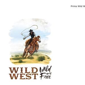 Redesign with Prima Wild West Decor Transfer 25x35